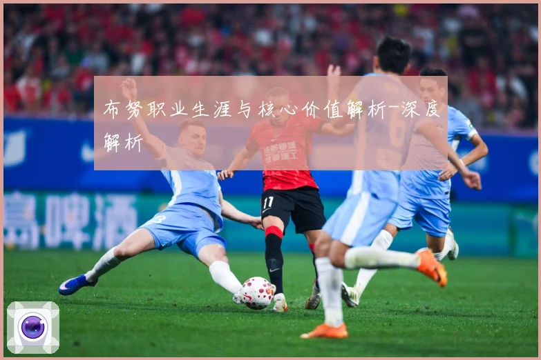 布努职业生涯与核心价值解析-深度解析